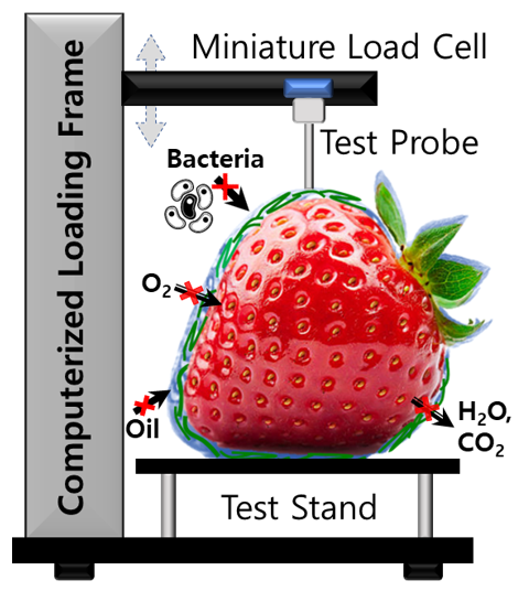 Biobased nanomaterial coatings for postharvest fruit preservation